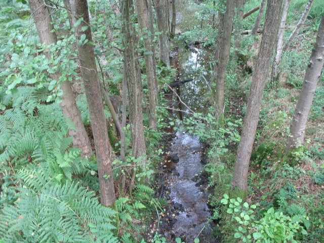 2007 07 Marais du Cerisaie 12